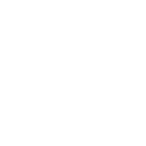 SD Auto Detailing